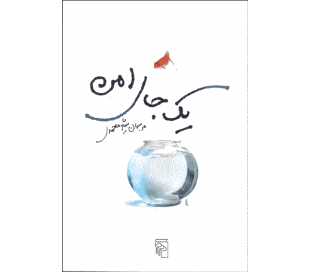 کتاب یک جای امن اثر مرجان شیرمحمدی